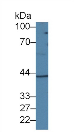 10025