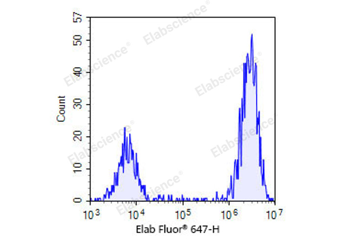 Валидация Elabscience E-CK-A324 - 104