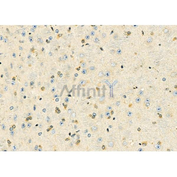 Валидация Affinity DF9577 - 22265