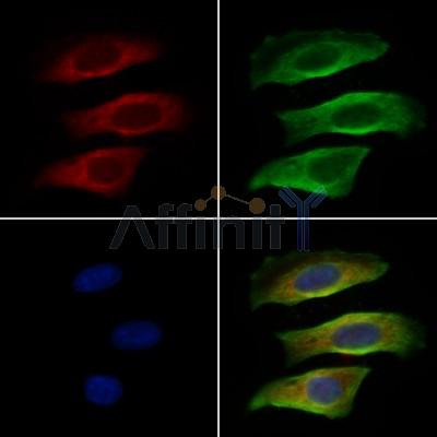 Валидация Affinity AF7697 - 4385