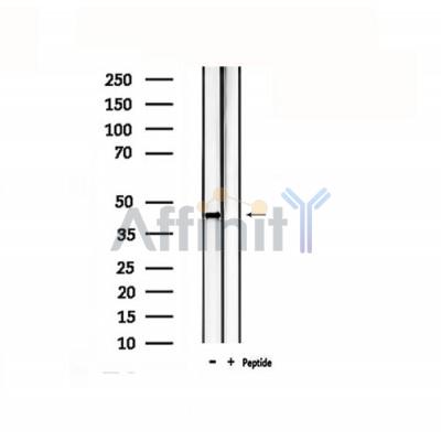 Валидация Affinity DF4867 - 16646