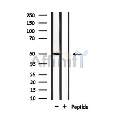 Валидация Affinity DF7506 - 19246