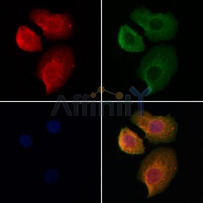 Валидация Affinity DF7893 - 19718