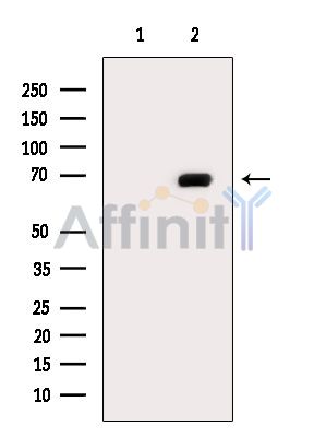 Валидация Affinity DF14354 - 10263