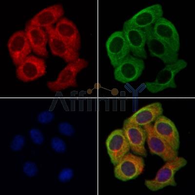 Валидация Affinity AF9021 - 4750