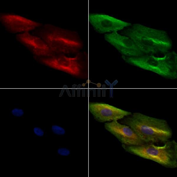 Валидация Affinity DF2532 - 13191