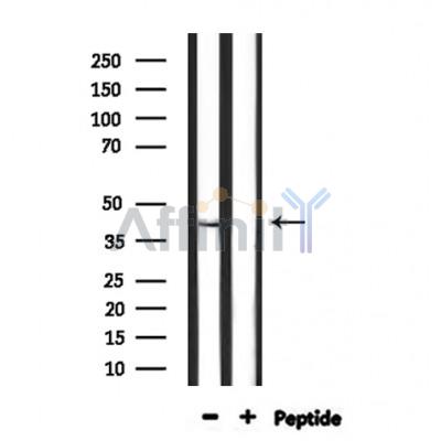 Валидация Affinity DF9900 - 22863