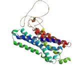 G Protein Coupled Receptor 27 (GPR27) G Protein Coupled Receptor 27 (GPR27)