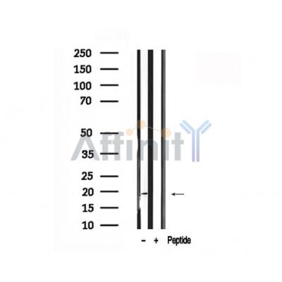Валидация Affinity AF7531 - 4184