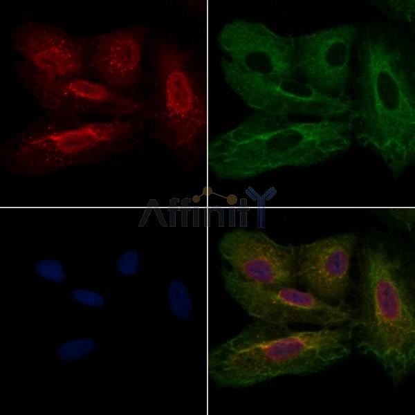 Валидация Affinity DF6717 - 18242