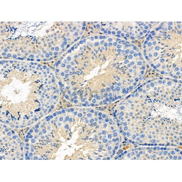 Валидация Affinity DF5218 - 17218