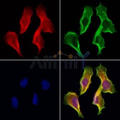 Валидация Affinity DF12095 - 6205