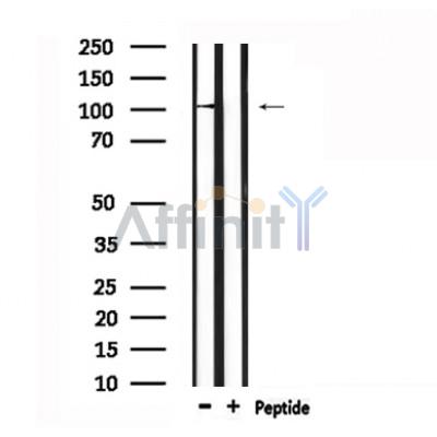 Валидация Affinity DF6507 - 17911