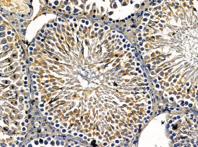 Валидация Affinity DF13969 - 9723