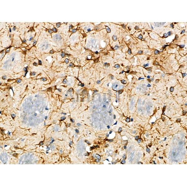 Валидация Affinity DF6820 - 18390