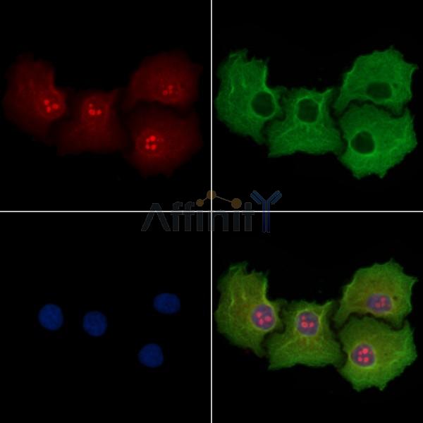 Валидация Affinity DF3492 - 14411