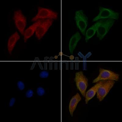 Валидация Affinity AF9073 - 4836