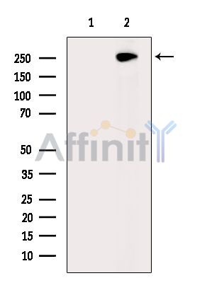 Валидация Affinity DF15190 - 11460