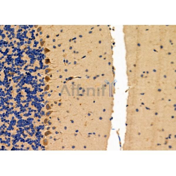 Валидация Affinity DF4999 - 16859