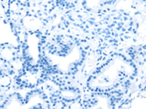 Валидация AssayVector ARM2105(3335)