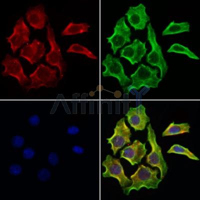 Валидация Affinity AF6352 - 3639