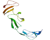 EGF Like Module Containing Mucin Like Hormone Receptor 3 (EMR3) EGF Like Module Containing Mucin Like Hormone Receptor 3 (EMR3)