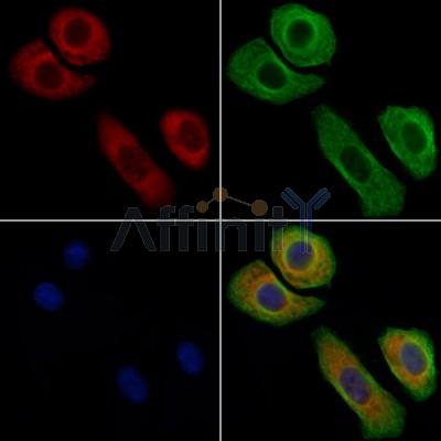 Валидация Affinity AF6420 - 3722