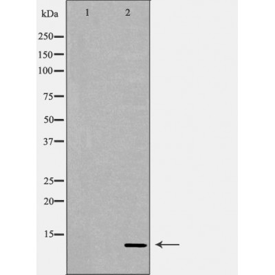 Валидация Affinity DF6853 - 18427