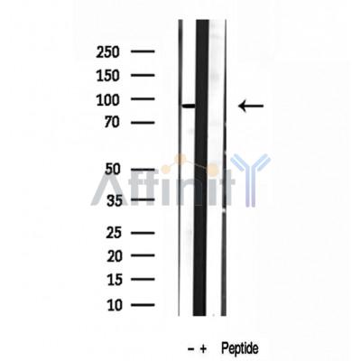 Валидация Affinity DF12069 - 6138