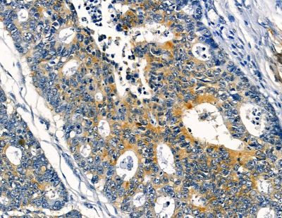 Валидация Affinity DF2823 - 13574