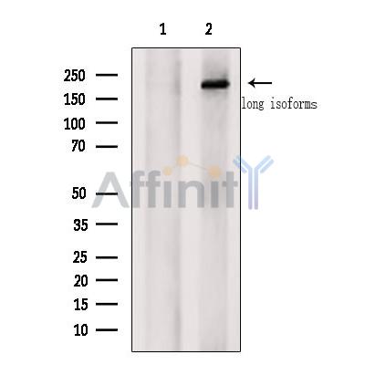 Валидация Affinity DF7410 - 19151