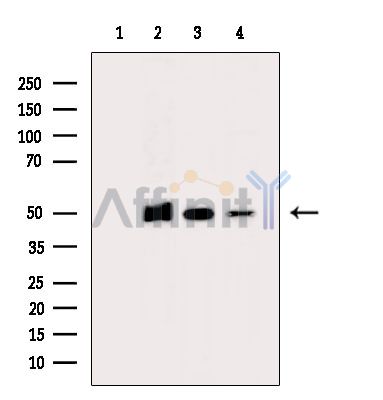 Валидация Affinity DF15015 - 11222
