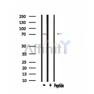 Валидация Affinity DF3964 - 15176