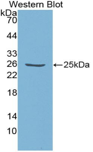 39347