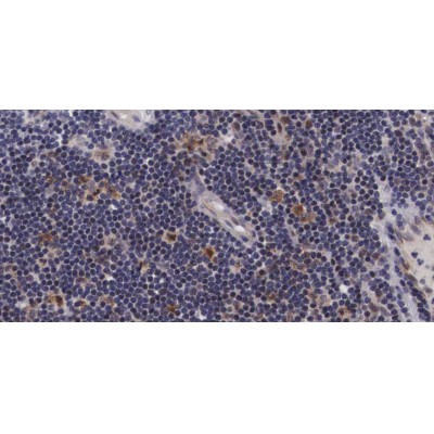 Валидация Affinity AF3477 - 2000