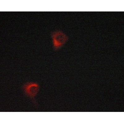 Валидация Affinity AF5374 - 2998