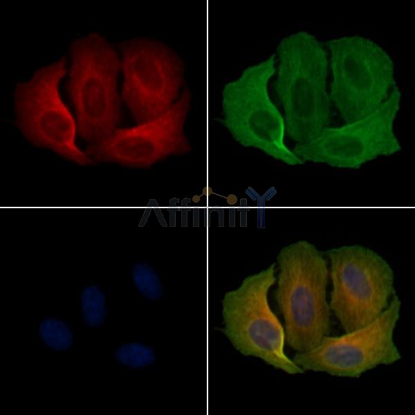 Валидация Affinity DF4991 - 16847