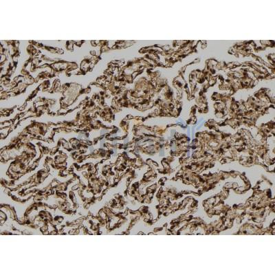 Валидация Affinity DF12023 - 6042