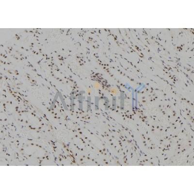 Валидация Affinity DF7378 - 19106