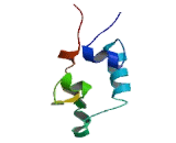 SWI/SNF Related, Matrix Associated, Actin Dependent Regulator Of Chromatin, Subfamily D, Member 1 (SMARCD1)