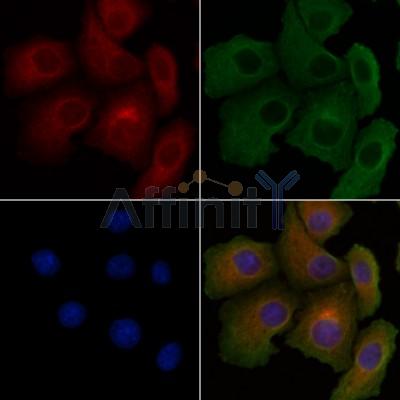 Валидация Affinity DF8642 - 20594