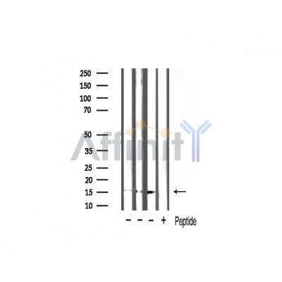 Валидация Affinity AF7004 - 4134