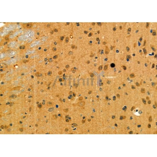 Валидация Affinity DF4852 - 16621