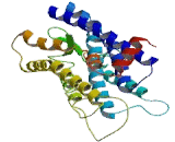 Taste Receptor Type 2 Member 8 (TAS2R8) Taste Receptor Type 2 Member 8 (TAS2R8)