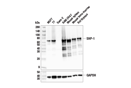 Валидация AssayVector ARM2759(5374)