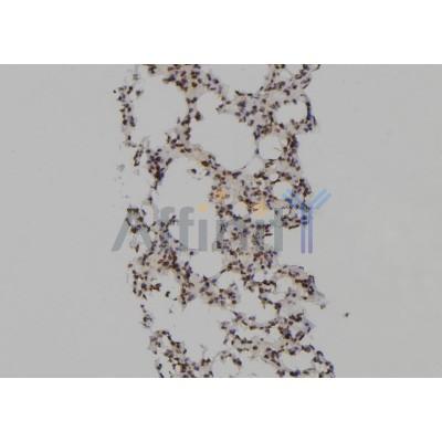 Валидация Affinity DF6911 - 18510