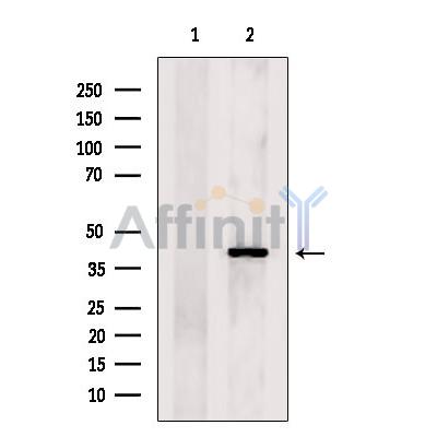 Валидация Affinity DF4500 - 16048