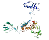 Purinergic Receptor P2X, Ligand Gated Ion Channel 6 (P2RX6) Purinergic Receptor P2X, Ligand Gated Ion Channel 6 (P2RX6)