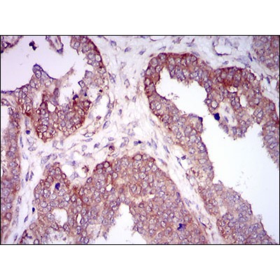 Валидация Affinity BF0034 - 5104