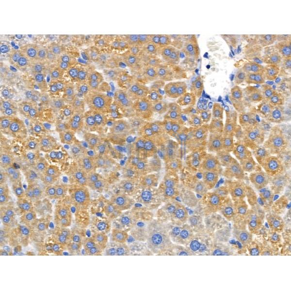 Валидация Affinity DF3563 - 14513